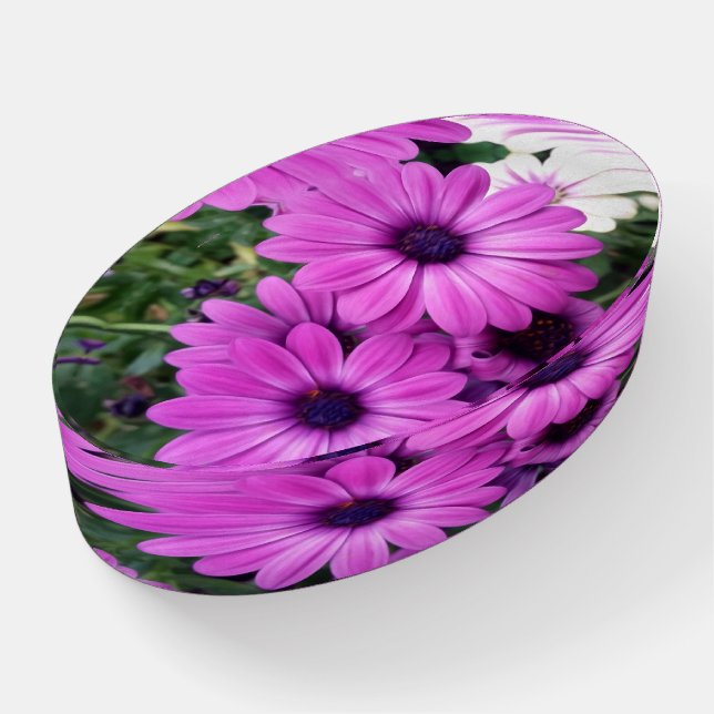 Purple daisies paperweight (Angled)