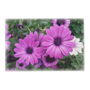 Purple daisies placemat