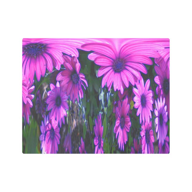 Purple Daisy Floral Abstract Art Metal Print (Front)