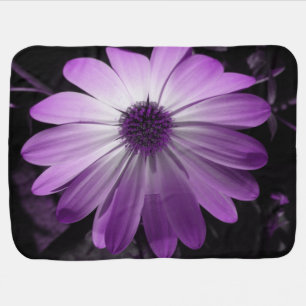 Purple Daisy Flower Baby Blanket