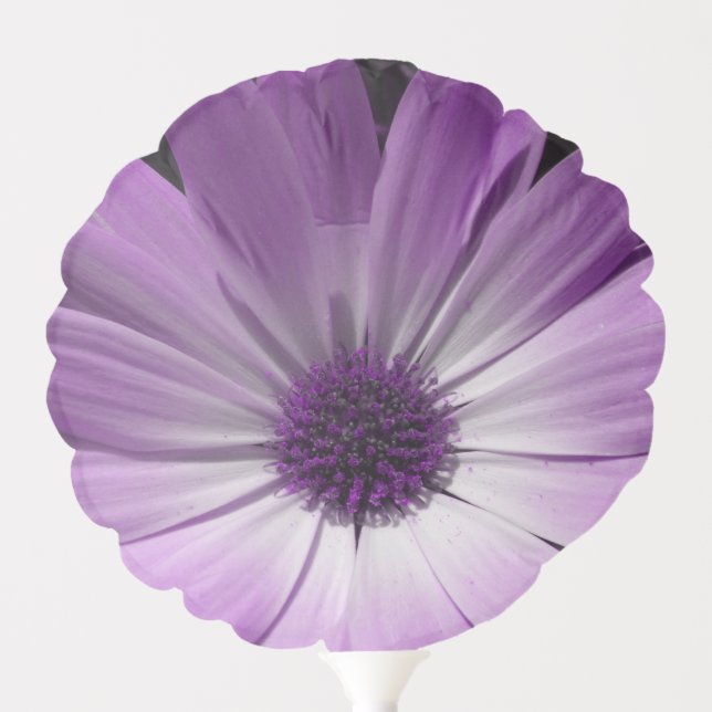 Purple Daisy Flower Balloon (Front)
