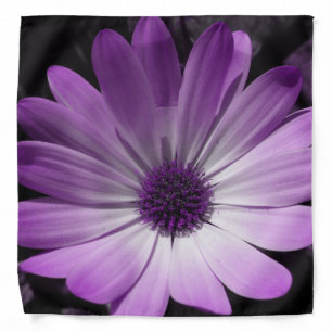 Purple Daisy Flower Bandana
