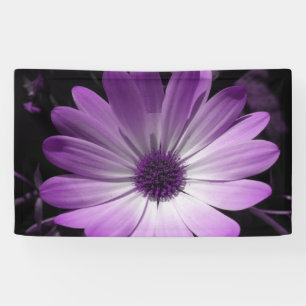 Purple Daisy Flower Banner