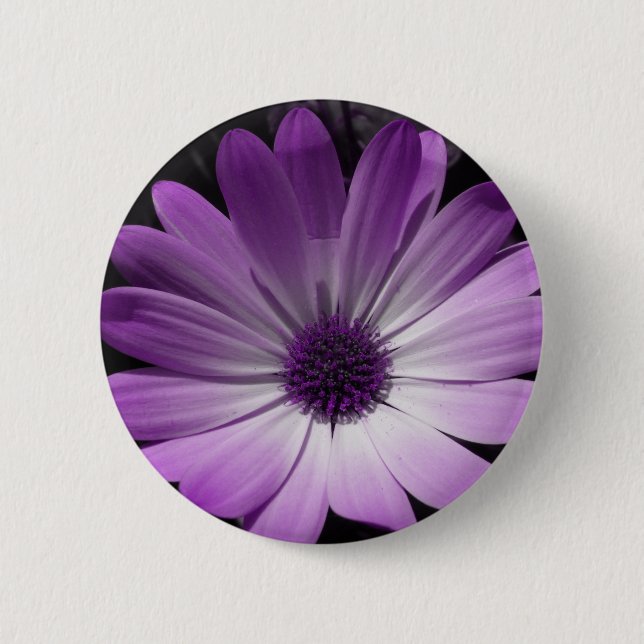 Purple Daisy Flower Button (Front)