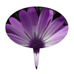 Purple Daisy Flower Cake Pick