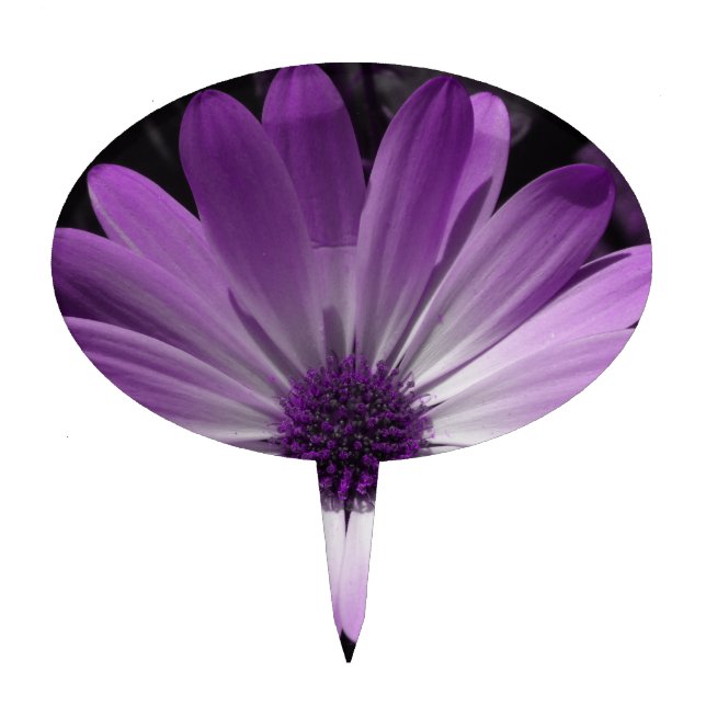 Purple Daisy Flower Cake Pick (Front)