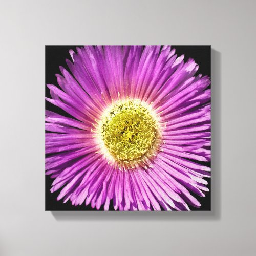 Purple Daisy Flower Closee_up Boho Cheerful Floral Canvas Print