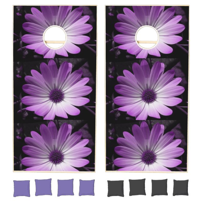 Purple Daisy Flower Cornhole Set (Set)