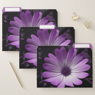Purple Daisy Flower File Folder