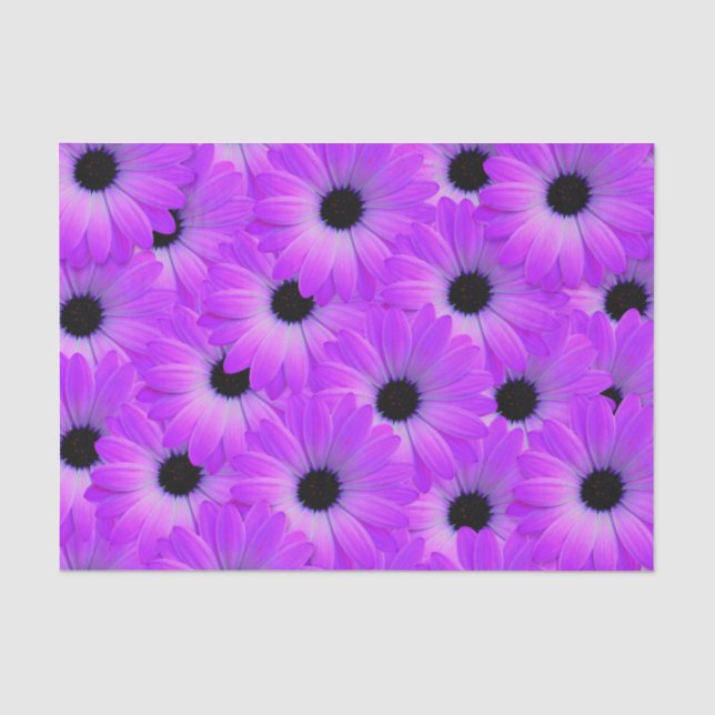 Purple daisy flower floral cute summer tissue paper (Front)