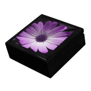 Purple Daisy Flower Gift Box