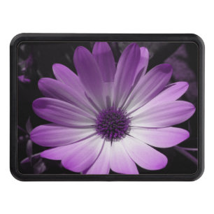 Purple Daisy Flower Hitch Cover