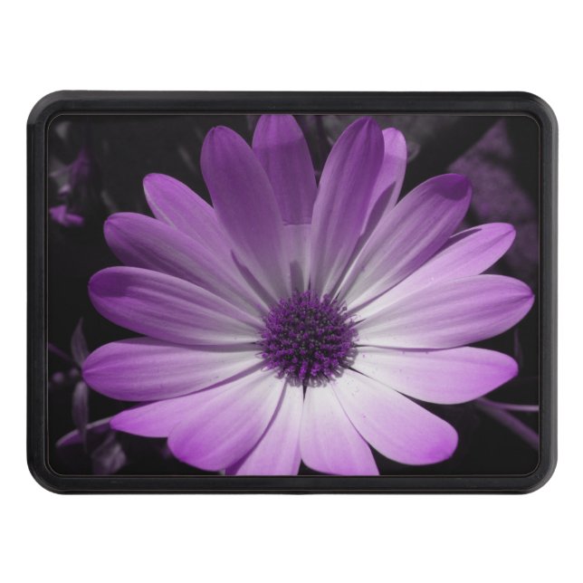 Purple Daisy Flower Hitch Cover (Front)