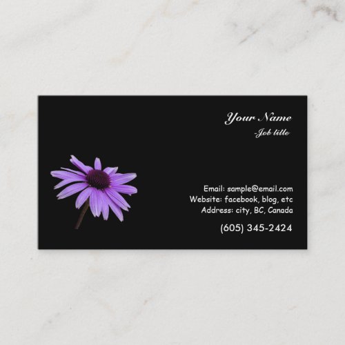 purple daisy flower in black background business cards