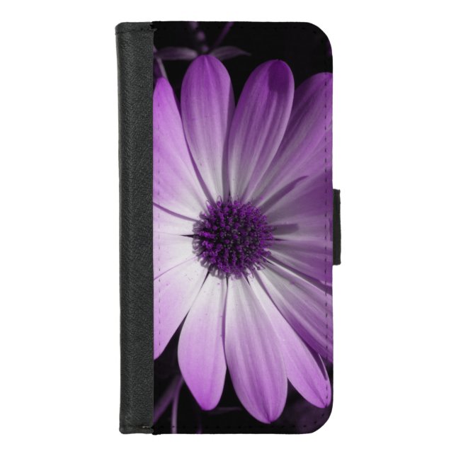 Purple Daisy Flower iPhone Wallet Case (Front)