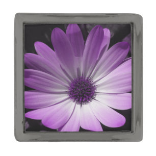 Purple Daisy Flower Lapel Pin