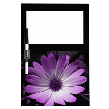 Purple Daisy Flower Memo Board by Fallen_Angel_483 at Zazzle