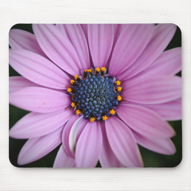 Purple Daisy Flower Mouse Pad (Front)