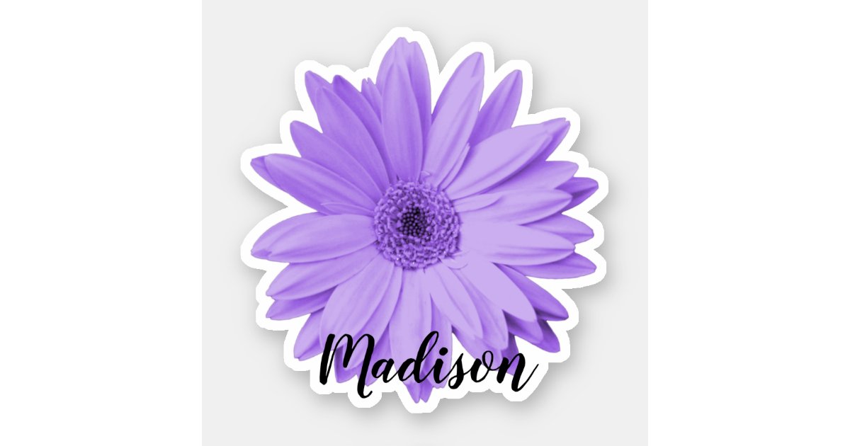 10 Daisy Flowers Sticker Set, Flower Stickers, Meadow , Daisy Stickers,  White Flower Stickers, Hippie Boho Floral Stickers, Meadow Flower 
