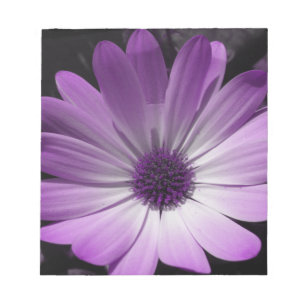Purple Daisy Flower Notepad