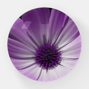 Purple Daisy Flower Paperweight