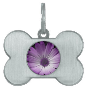 Purple Daisy Flower Pet Tag