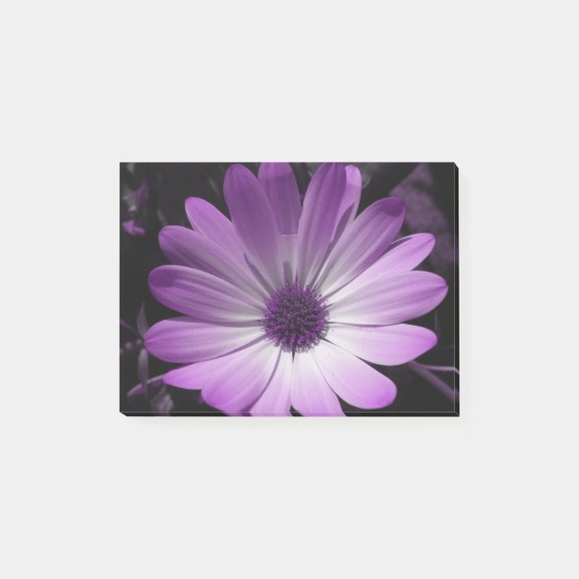Purple Daisy Flower Post it notes Pad (Front)
