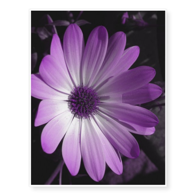 Purple Daisy Flower Temporary Tattoo (Front)
