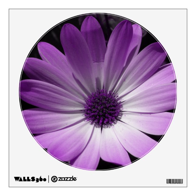 Purple Daisy Flower Wall Decal (Front)