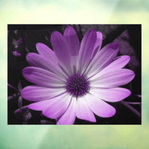 Purple Daisy Flower Window Cling