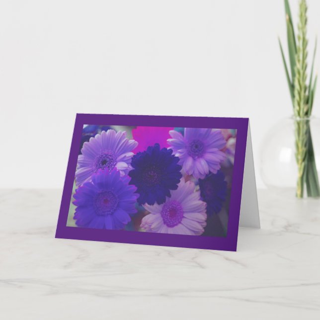 Purple Daisy Flowers Photo Greeting or Note Cards (Front)