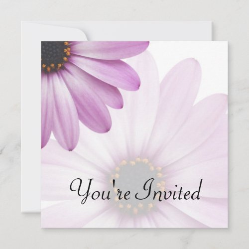 Purple Daisy Announcements