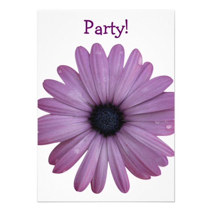 Purple Daisy Like Flower Osteospermum ecklonis Personalized Announcements