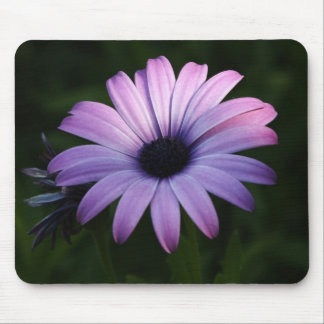Purple Daisy Mouse Pad