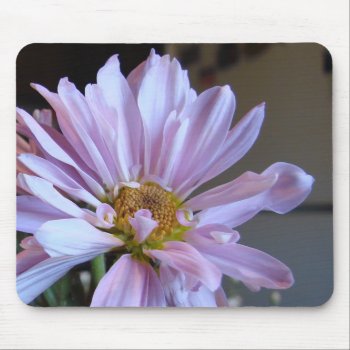 Purple Daisy Mousepad by AJsGraphics at Zazzle