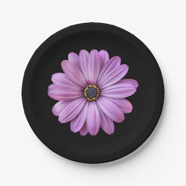 Purple Daisy on Black Party Paper Plates (Front)