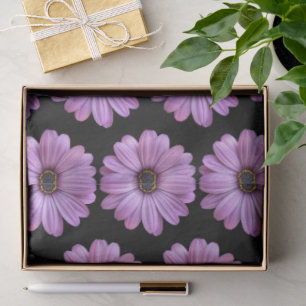 Purple Daisy on Black Tissue Paper