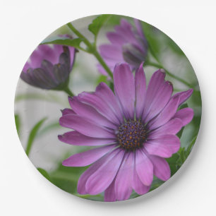 Purple Daisy Paper Plates