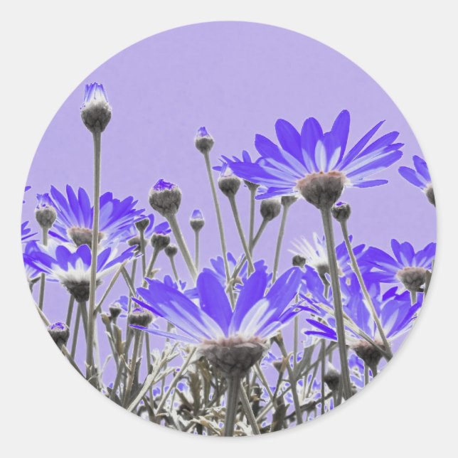 Purple Daisy Stickers (Front)