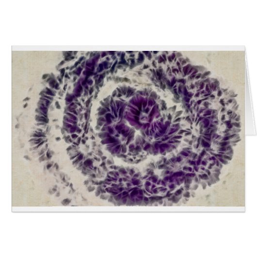 Purple Daisy Swirl Cards (Front Horizontal)