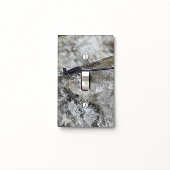 Purple Damsefly On Quartz Rock Nature Light Switch Cover (In Situ)