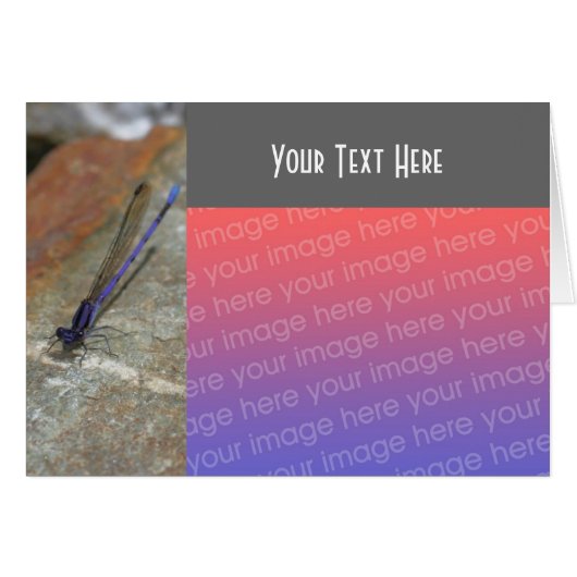 Purple Damselfly Nature Photo Card (Front Horizontal)