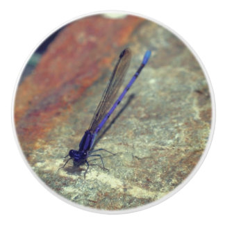 Purple Damselfly Posing On Rock Close Up Ceramic Knob