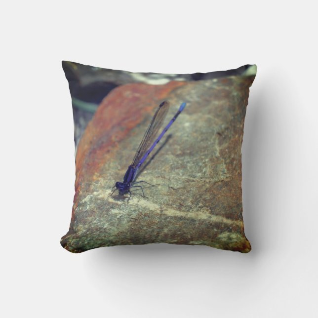 Purple Damselfly Posing On Rock Close Up  Throw Pillow (Front)