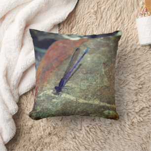 Purple Damselfly Posing On Rock  Throw Pillow