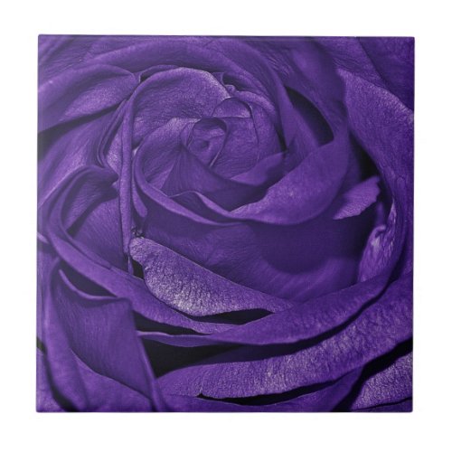 Purple dark rose ceramic tile