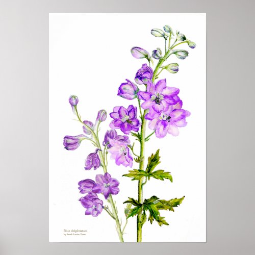 Purple delphinium botanical fine art poster print