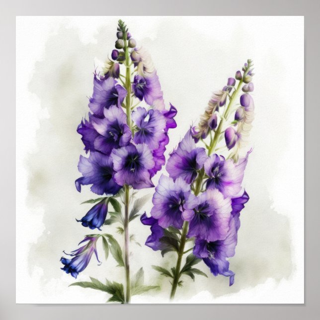 Purple Delphinium Flower Art Print Poster (Front)