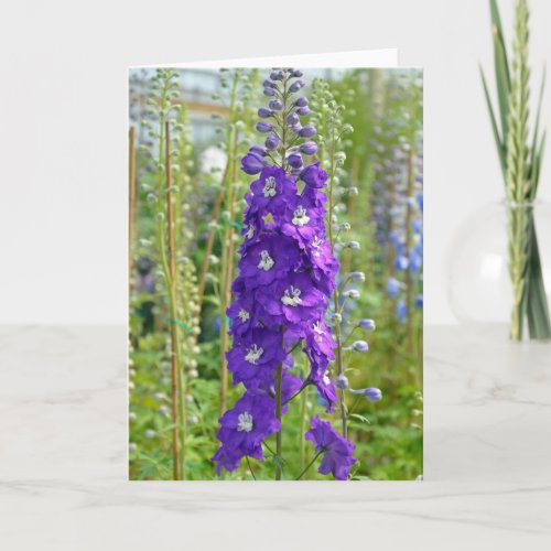 Purple delphinium flowers print greeting card
