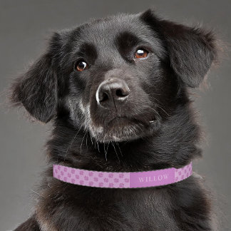 Purple Dog Paws Pattern With Custom Name Pet Collar